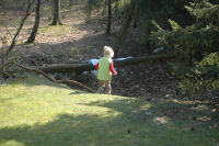 Spelen in de kuil in het bos