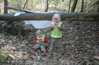 Spelen in de kuil in het bos