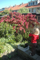 Caroline in de tuin