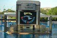 Shamu Rocks America