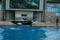 The Shamu Adventure