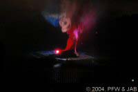 Fantasmic