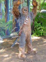 Star Wars Weekend Chewbacca