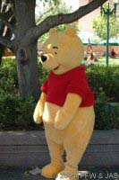 Pooh