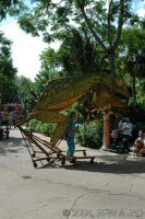 Kameleon