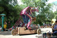 Kangaroe