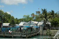 Key West Aquarium