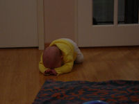 Caroline trying to crawl