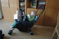 Testing the new buggy