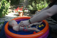 In the swimmingpool