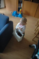 Playing with a handbag