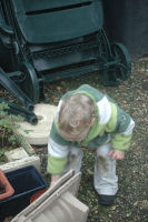 Playing in the backyard