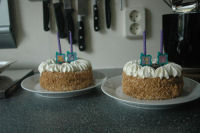 The birthday cakes