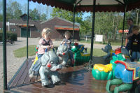 In the carousel