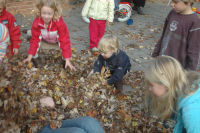 Playing with the fallen leafs