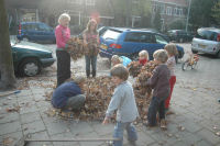 Playing with the fallen leafs