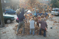 Playing with the fallen leafs