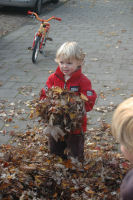 Playing with the fallen leafs