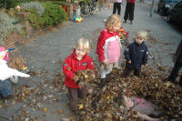 Playing with the fallen leafs