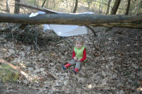 Spelen in de kuil in het bos