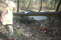 Spelen in de kuil in het bos