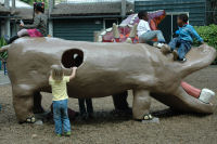 In the playgarden