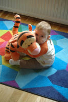 Two Tiggers