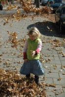 Playing with the leaves