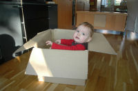 Three girls and a box