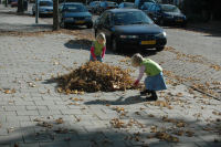 Herfstbladeren vegen