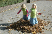 Herfstbladeren vegen