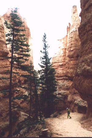 Bryce Canyon