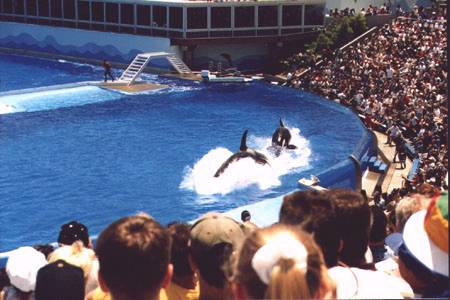 Sea World